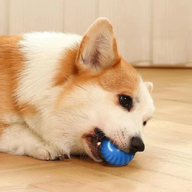 WoofBall