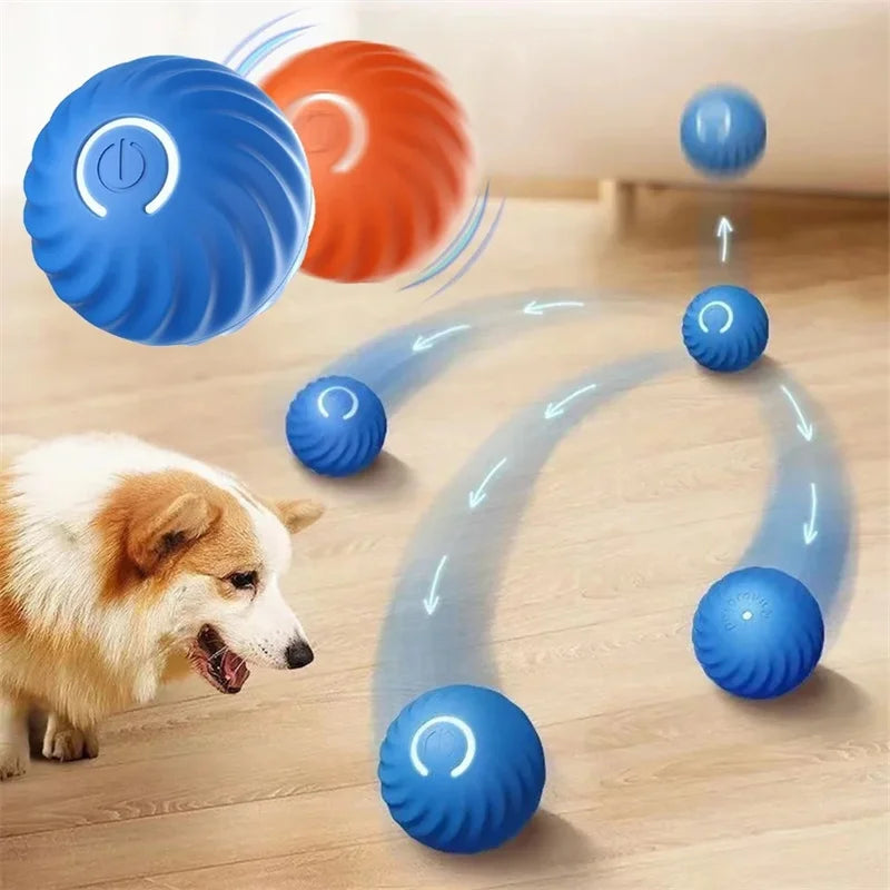 WoofBall