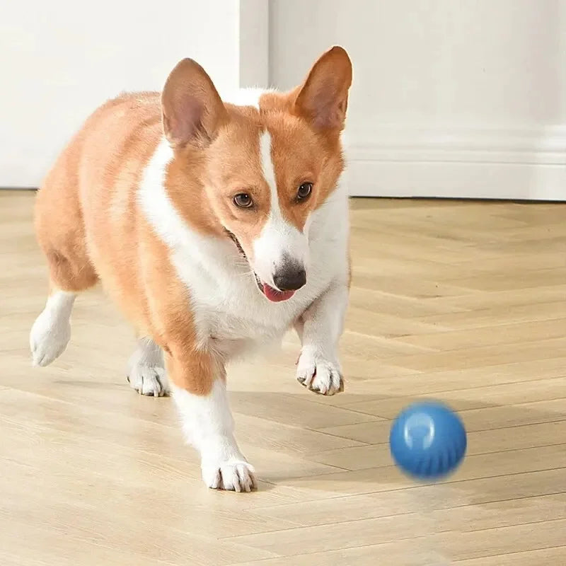 WoofBall