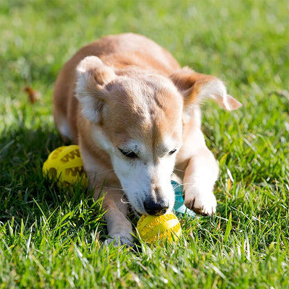 Treat Ball Toy