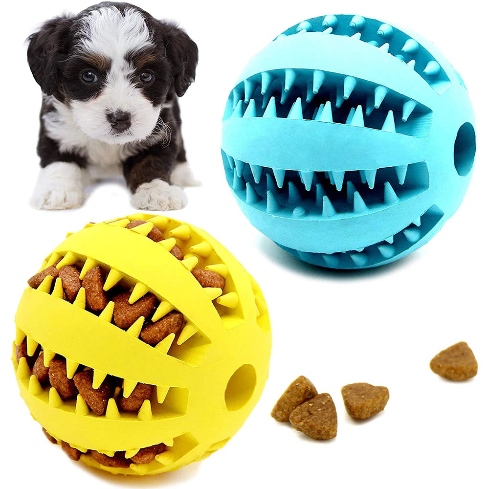 Treat Ball Toy