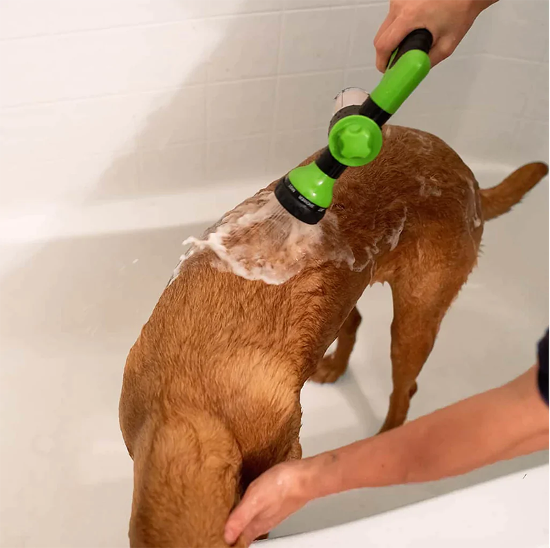 Shower Nozzle